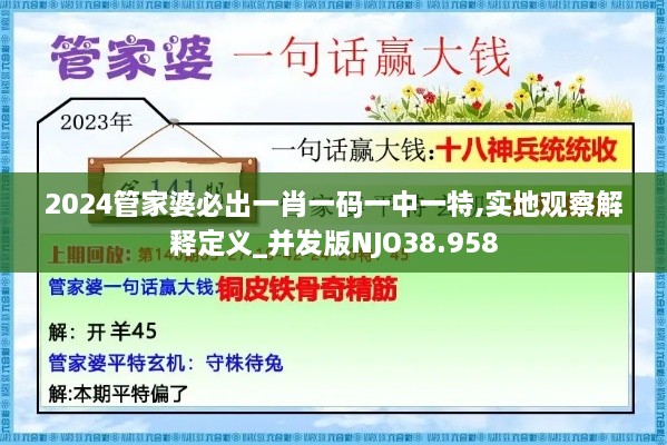 2024管家婆必出一肖一码一中一特,实地观察解释定义_并发版NJO38.958