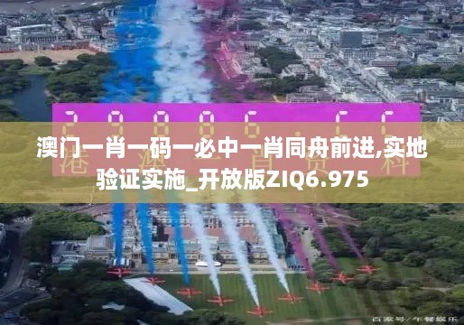 澳门一肖一码一必中一肖同舟前进,实地验证实施_开放版ZIQ6.975