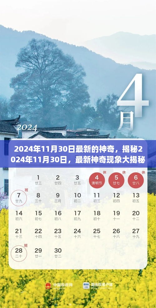 揭秘未知世界，神奇现象大揭秘，探索奇幻之旅——以2024年11月30日为界