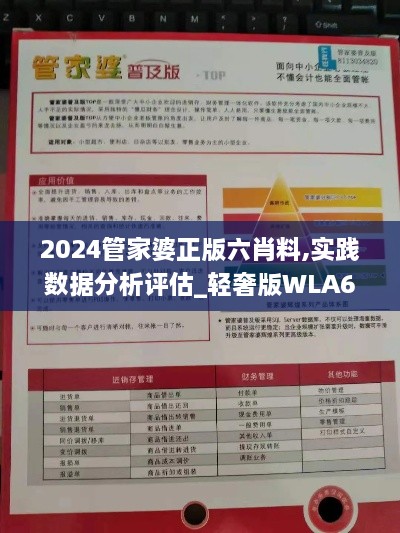 2024管家婆正版六肖料,实践数据分析评估_轻奢版WLA60.868