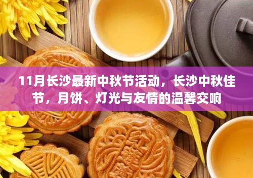 长沙中秋盛宴，月饼、灯光与友情的温馨交响