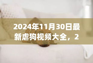 2024年最新虐狗视频大全评测与介绍