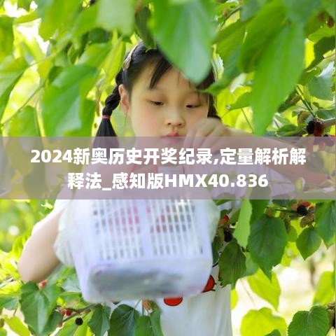 2024新奥历史开奖纪录,定量解析解释法_感知版HMX40.836