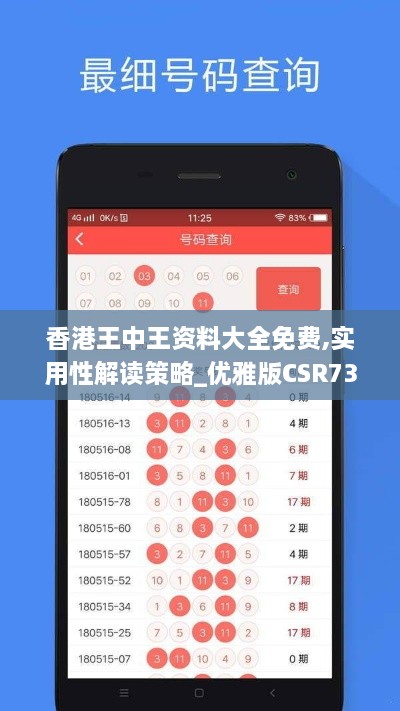 香港王中王资料大全免费,实用性解读策略_优雅版CSR73.734