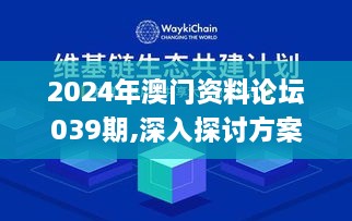 2024年澳门资料论坛039期,深入探讨方案策略_精英版VEB40.885