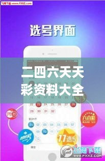 二四六天天彩资料大全网最新版,全方位数据解析表述_随身版IEG5.886