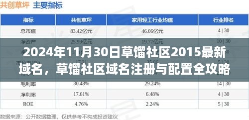 草馏社区最新域名注册与配置全攻略（初学者与进阶用户适用）