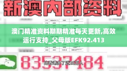 澳门精准资料期期精准每天更新,高效运行支持_父母版EFK92.413