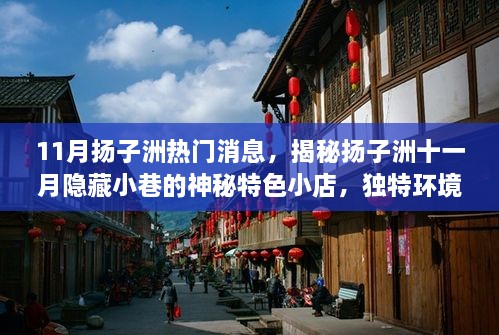 揭秘扬子洲十一月隐藏小巷的神秘特色小店，十一月扬子洲热门消息大揭秘！