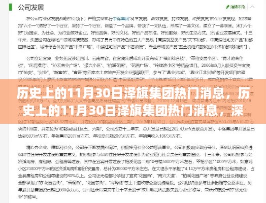 历史上的11月30日泽旗集团热门消息深度解析与观点阐述