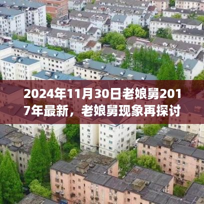 老娘舅现象再探讨，从2024年的视角审视2017年的变迁与启示