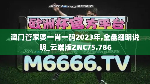 澳门管家婆一肖一码2023年,全盘细明说明_云端版ZNC75.786