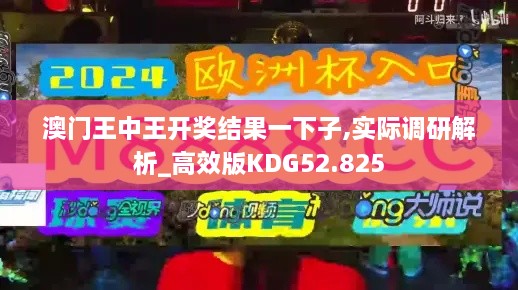 澳门王中王开奖结果一下子,实际调研解析_高效版KDG52.825