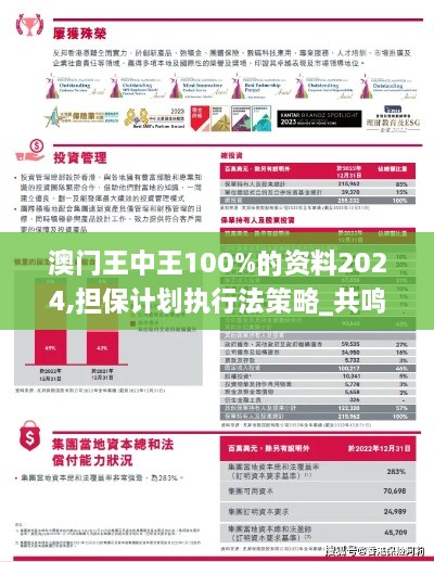 澳门王中王100%的资料2024,担保计划执行法策略_共鸣版EOI5.782