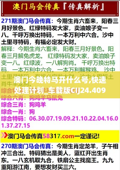 澳门今晚特马开什么号,快速处理计划_车载版CIJ24.409