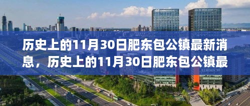 历史上的11月30日肥东包公镇最新动态深度解析与观点阐述