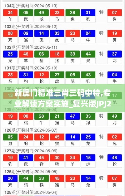 新澳门精准三肖三码中特,专业解读方案实施_复兴版JPJ23.296