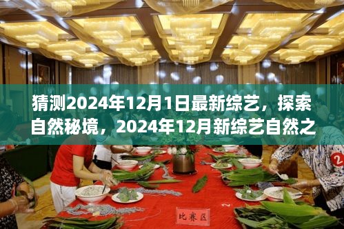 心之宁静引领自然秘境之旅，2024年12月新综艺猜想