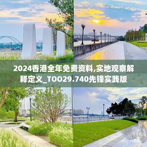 2024香港全年免费资料,实地观察解释定义_TOO29.740先锋实践版