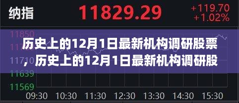 历史上的12月1日机构调研股票详解与操作指南，最新策略步骤揭秘！