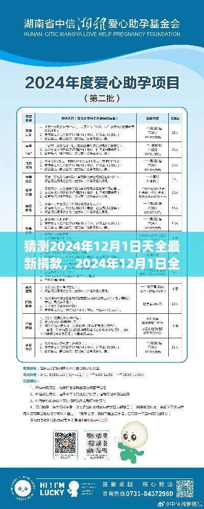 2024年12月1日全新捐款活动指南，从入门到精通，参与天全最新捐款猜测