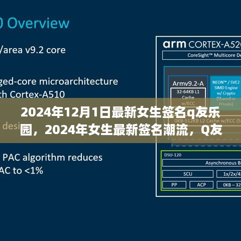 2024年女生最新签名潮流，Q友乐园的独特风尚