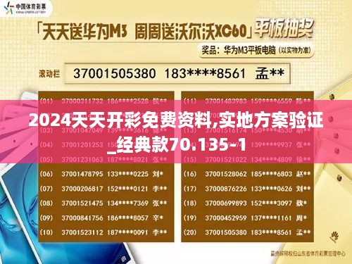 2024天天开彩免费资料,实地方案验证_经典款70.135-1