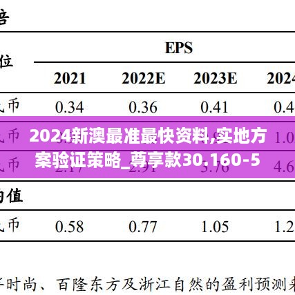 2024新澳最准最快资料,实地方案验证策略_尊享款30.160-5