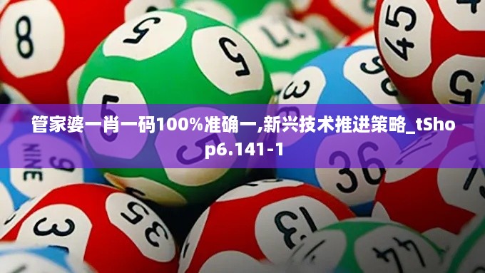 管家婆一肖一码100%准确一,新兴技术推进策略_tShop6.141-1