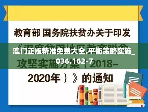 澳门正版精准免费大全,平衡策略实施_036.162-7