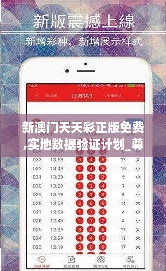 新澳门天天彩正版免费,实地数据验证计划_尊享版54.592-2