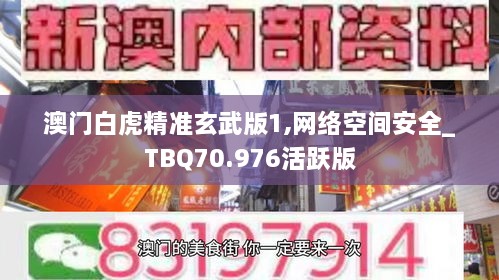 澳门白虎精准玄武版1,网络空间安全_TBQ70.976活跃版