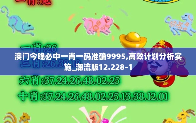 澳门今晚必中一肖一码准确9995,高效计划分析实施_潮流版12.228-1