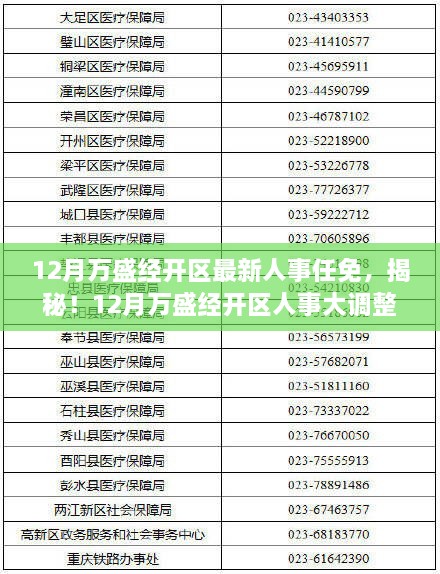 揭秘万盛经开区人事大调整，最新领导名单正式公布，人事任免动态一览