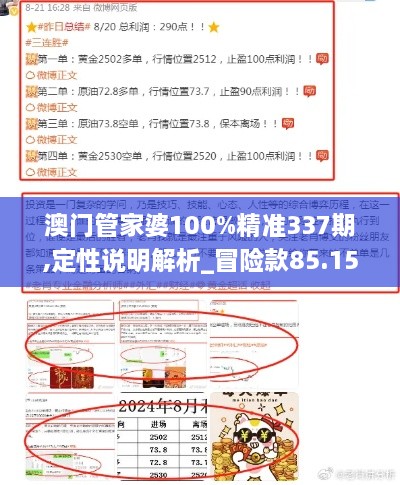 澳门管家婆100%精准337期,定性说明解析_冒险款85.158-3