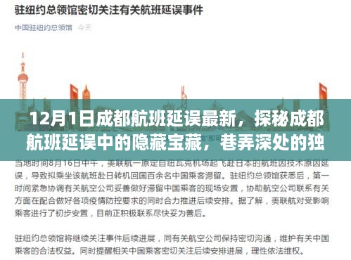 探秘成都航班延误中的隐藏宝藏，巷弄深处的独特小店（最新航班延误信息）