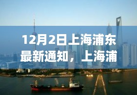 上海浦东地区最新通知解读及分析聚焦要点