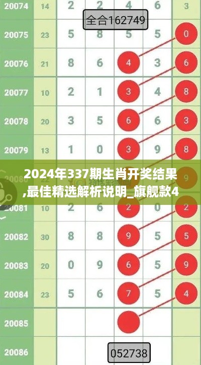 2024年337期生肖开奖结果,最佳精选解析说明_旗舰款47.859-1