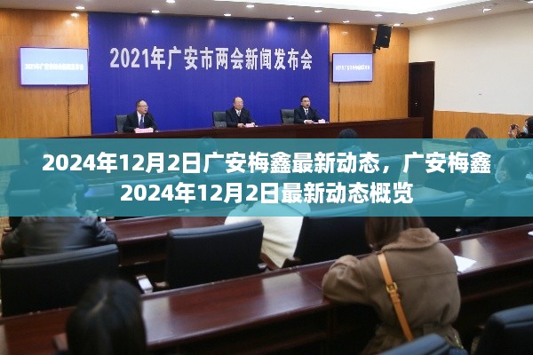 广安梅鑫最新动态概览，2024年12月2日更新