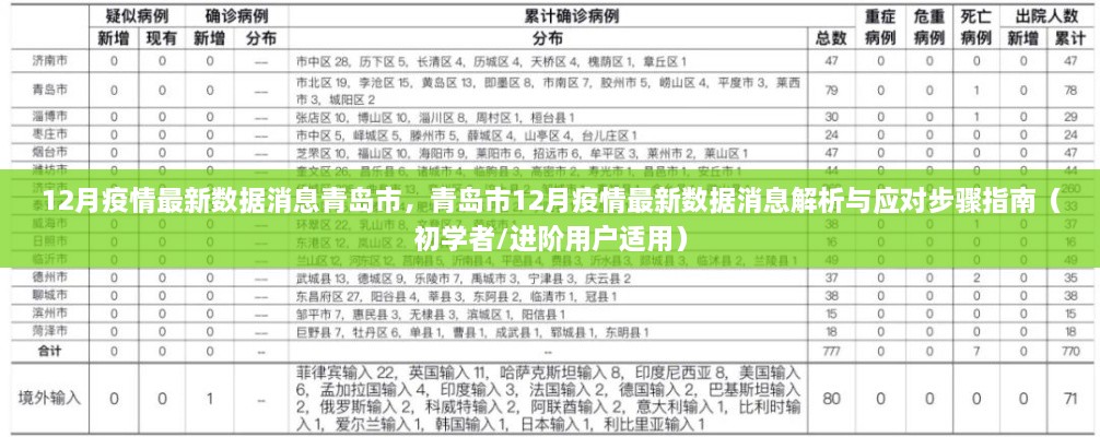 青岛市12月疫情最新数据解析与应对指南，初学者到进阶用户的必备知识