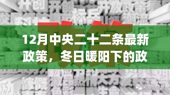 中央二十二条新政策，冬日暖阳下的民生关怀与日常小事关注