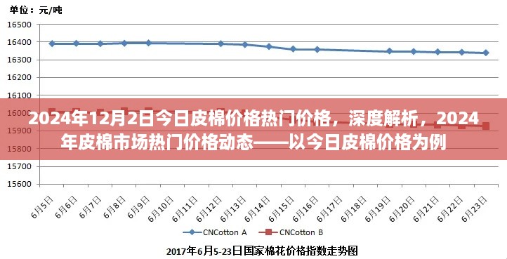 深度解析，2024年皮棉市场热门价格动态——今日皮棉价格详解