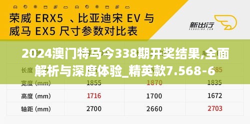 2024澳门特马今338期开奖结果,全面解析与深度体验_精英款7.568-6