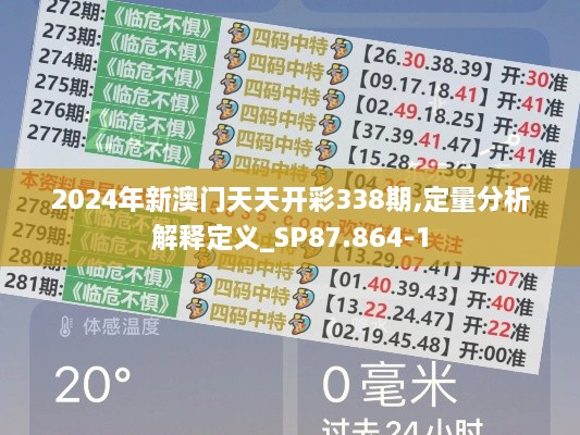 2024年新澳门天天开彩338期,定量分析解释定义_SP87.864-1