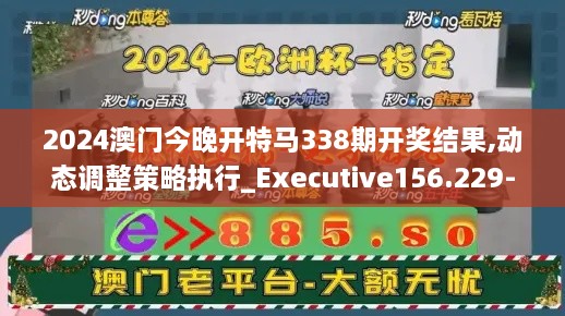 2024澳门今晚开特马338期开奖结果,动态调整策略执行_Executive156.229-7