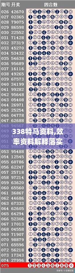 338特马资料,效率资料解释落实_The8.888-1