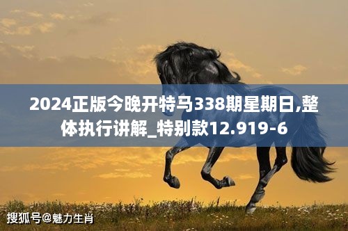 2024正版今晚开特马338期星期日,整体执行讲解_特别款12.919-6