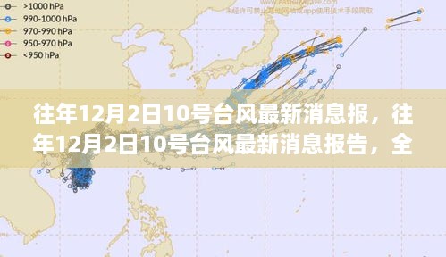 2024年12月3日 第11页