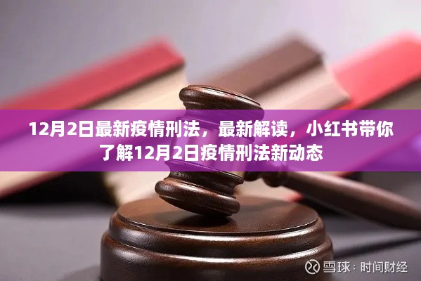 小红书解读，最新疫情刑法动态及解读