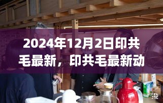 印共毛最新动态观察，多维度视角下的思考与展望（2024年12月2日）